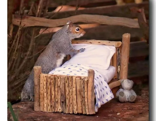 A L'escale * Gauriac